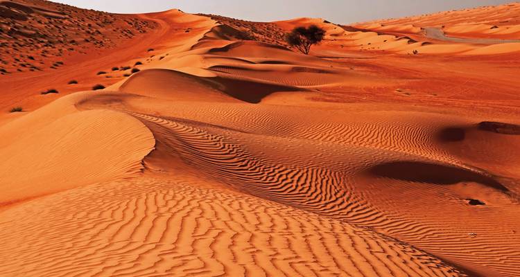 Dunes de sable orange dans un désert avec des ondulations dans le sable.