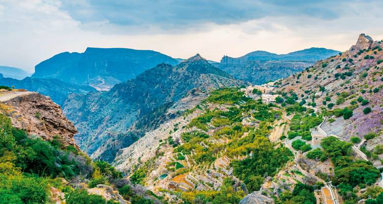 Terres agricoles luxuriantes en terrasses sur une colline avec un ciel bleu.