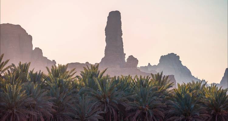 Formation rocheuse élevée avec des palmiers au premier plan.