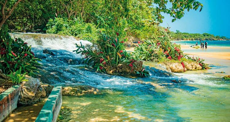 Une cascade pittoresque avec un feuillage environnant par une journée ensoleillée.