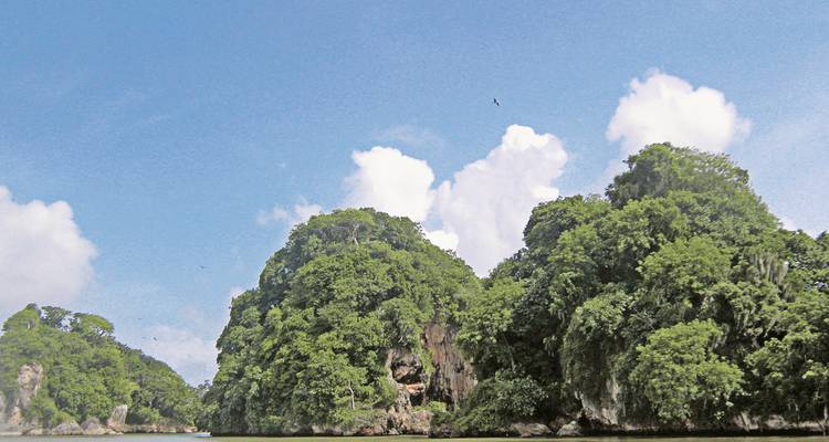 Weelderige groene eilanden tegen een heldere hemel.