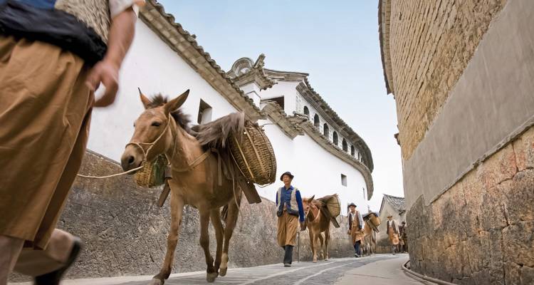 Des hommes menant des mules dans une rue étroite bordée d'architecture traditionnelle.