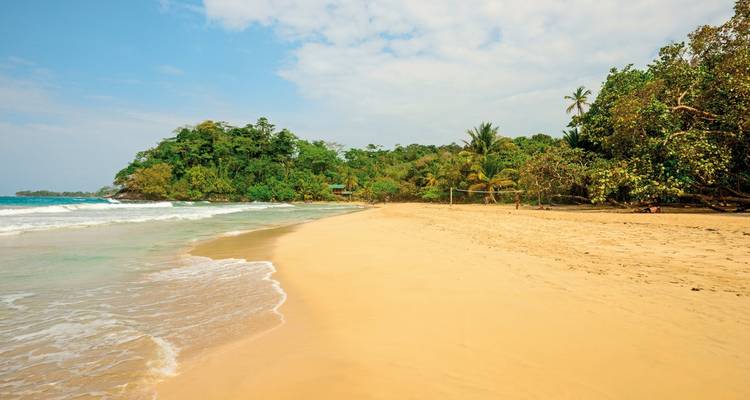 Une plage de sable avec des eaux turquoise et une végétation luxuriante.