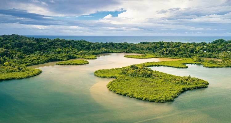 Vue aérienne d'un paysage luxuriant avec de petites îles.