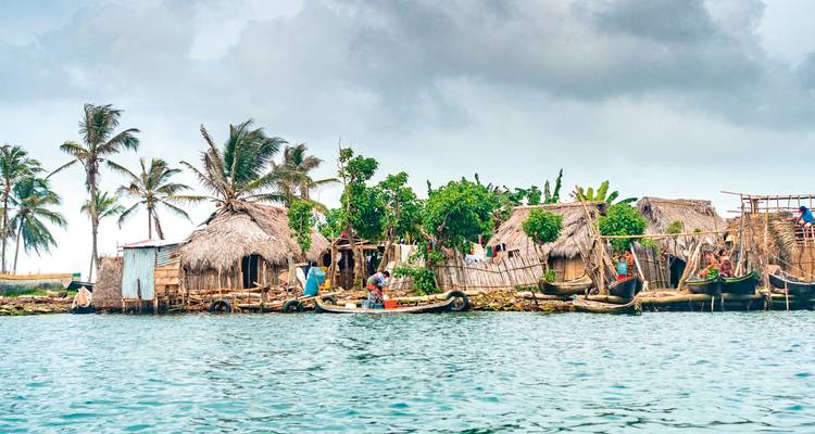 Communauté côtière rustique avec des maisons en bois et des palmiers.