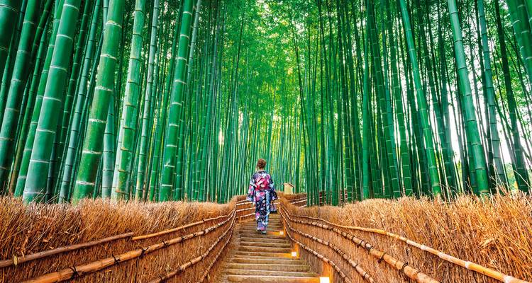 Sentier de forêt de bambous avec une personne en kimono.