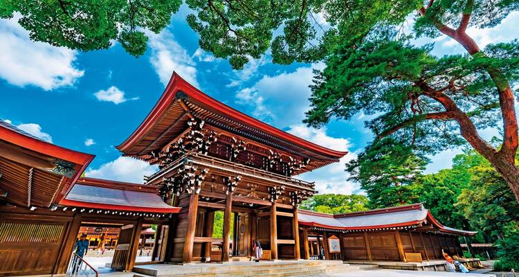 Traditioneller hölzerner Torii-Eingang und Gebäude eines Shinto-Schreins unter lebendigem blauen Himmel und Bäumen