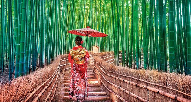 Une personne en tenue traditionnelle avec un parapluie marchant à travers une forêt de bambous.