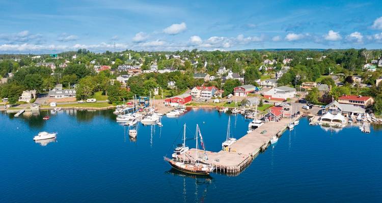 A scenic view of a coastal town with a marina and boats.