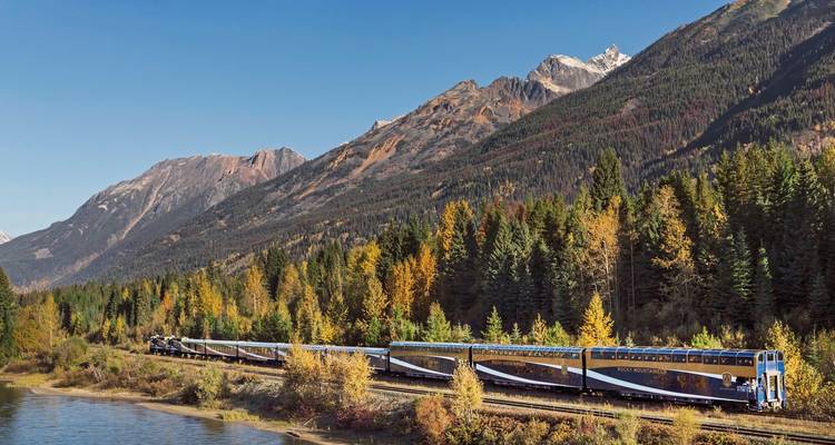 Train travelling through a scenic forest landscape during autumn.