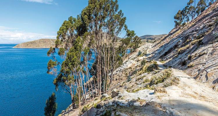 Hohe Bäume und felsige Küstenlinie am blauen Wasser des Titicacasees.