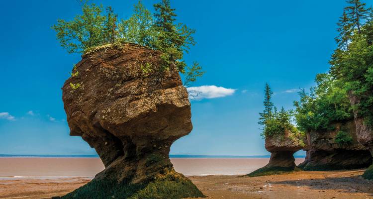 Rock formations with vegetation beside a body of water.