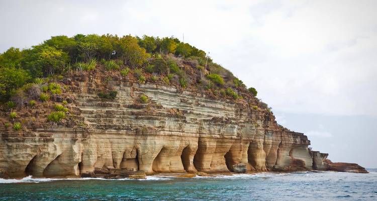 Cliff with unique rock formations and foliage by the sea.
