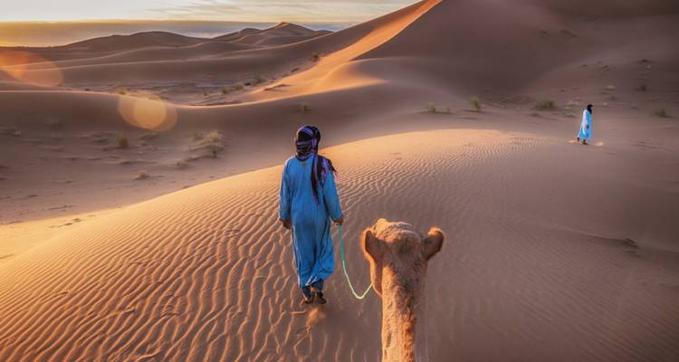 Person leading a camel at sunrise in the desert.