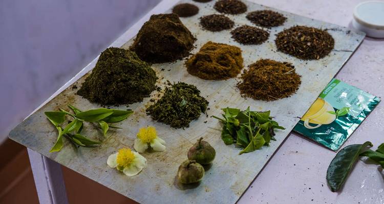 Various piles of spices and leaves on a metal tray.