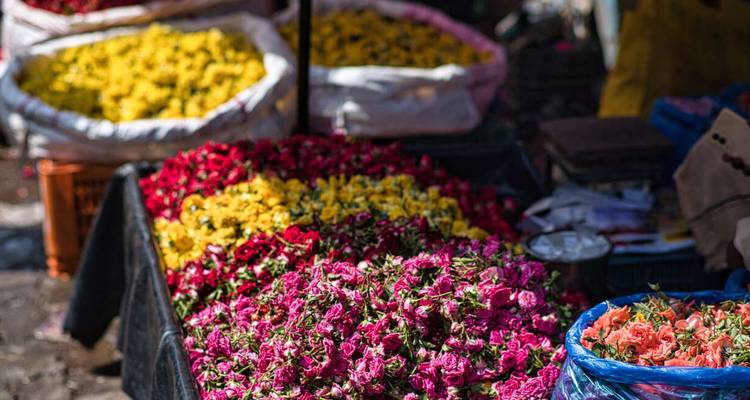 Bags of colorful flower petals on display at a market.