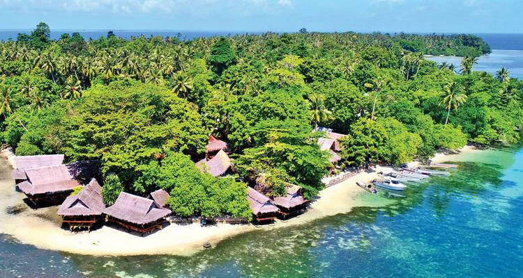 Vue aérienne d'une île luxuriante avec des bâtiments traditionnels au toit de chaume et une plage.
