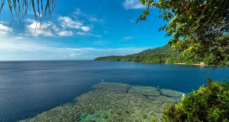 Scène côtière tranquille avec une eau bleue claire et une végétation luxuriante.