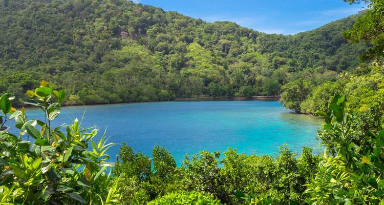 Paysage verdoyant luxuriant entourant un lagon bleu.