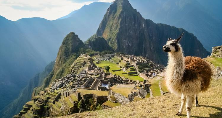 The text you provided is already in Spanish, not English. However, I notice there might be some confusion. If you meant to translate FROM Spanish TO English, it would be:
"Llama standing near the ruins of Machu Picchu with mountains in the background."
But if you actually have an English text that you want translated to Spanish, could you please provide the English version? The text you gave me appears to already be the English version, which would translate to Spanish as:
"Llama parada cerca