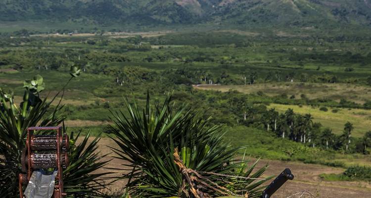 Lush green valley with mountains in the background.