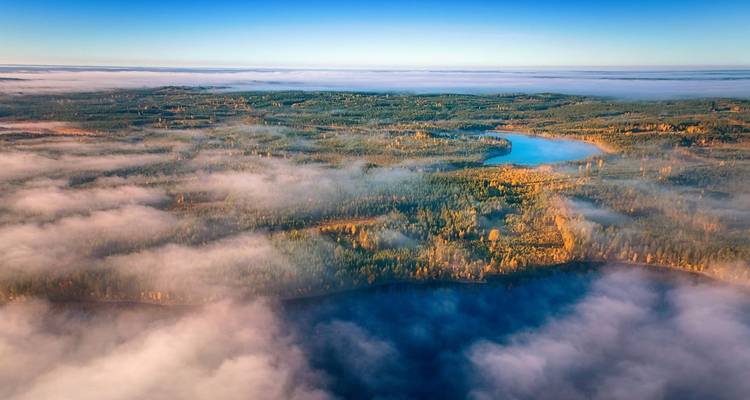Vue aérienne d'une forêt avec un lac partiellement couvert par la brume.