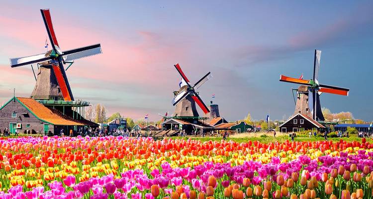 Iconic windmills with vibrant tulip fields under a colorful sky.