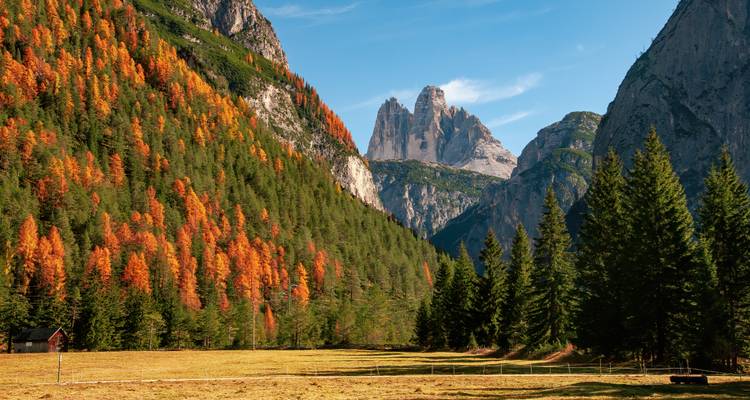Une vallée boisée avec des arbres colorés et un magnifique arrière-plan montagneux.