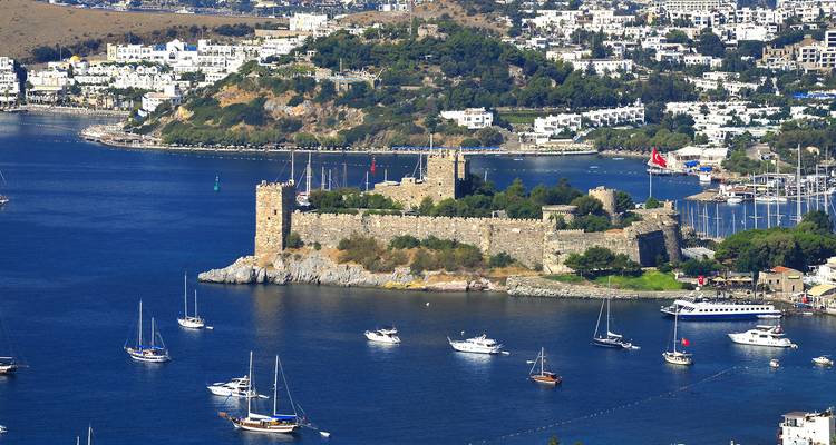 Castillo histórico y puerto deportivo con barcos.