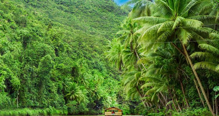 La maison flottante en radeaux de bambou vert navigue sur une rivière de jungle tranquille, entourée d'une forêt dense de palmiers.