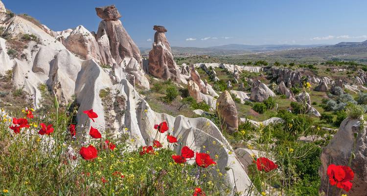 Cheminées de fées de Cappadoce avec des coquelicots rouge vif au premier plan.