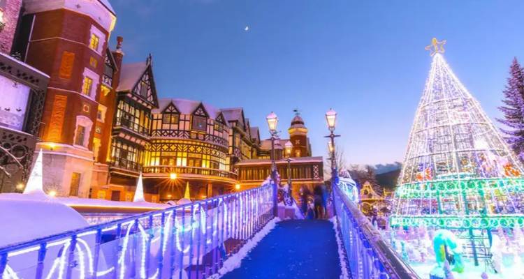Bright Christmas lights and a bridge leading to a decorated tree at dusk.