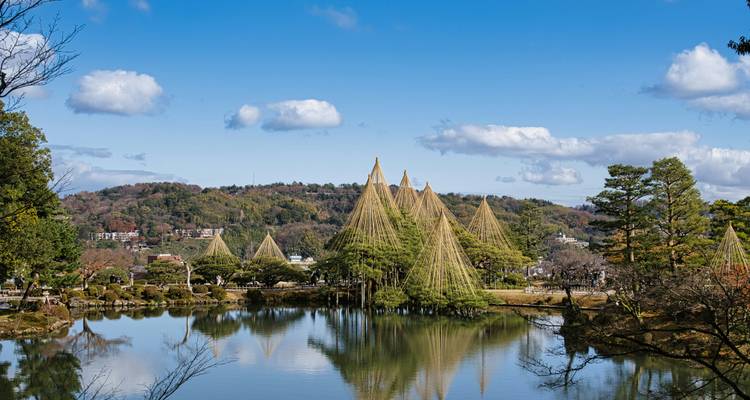 Vue panoramique d'un bassin de jardin avec des structures de protection uniques au-dessus des arbres.