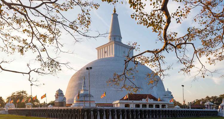 Grand stupa à l'extérieur blanc entouré d'arbres et d'une foule.
