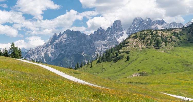 Une colline herbeuse avec des fleurs sauvages et une chaîne de montagnes.