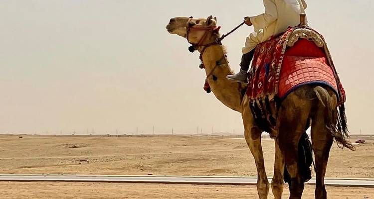 Person riding a camel in a desert landscape.