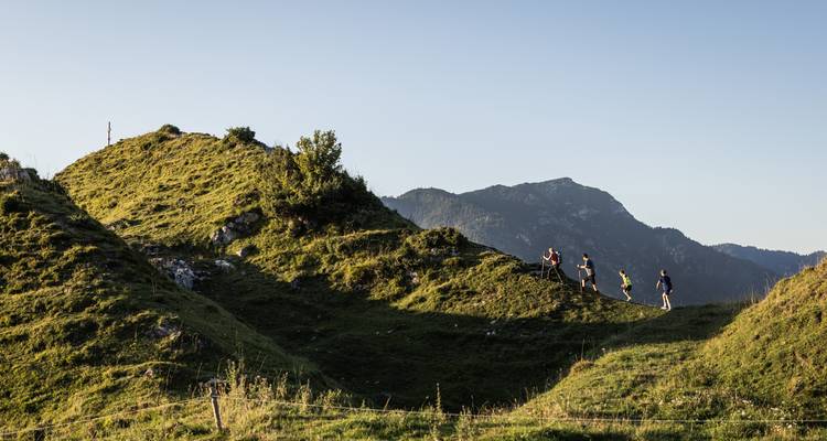 Excursionistas caminando por un sendero montañoso verde.