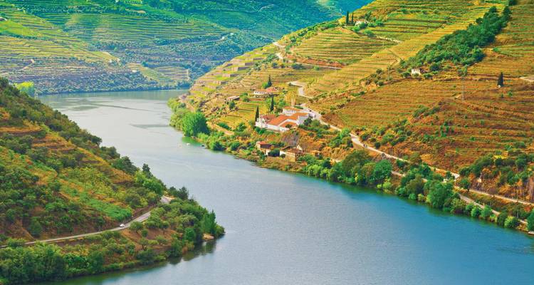 Le Douro, fleuve sinueux, est enserré par des vignobles en terrasses dorées et des oliveraies sous des ciels dégagés.