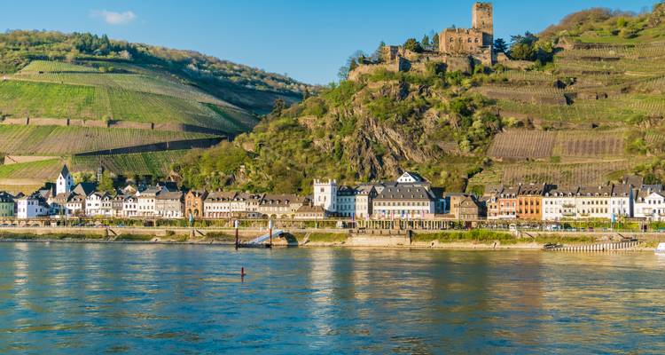 Gorge du Rhin avec un village riverain et un château.