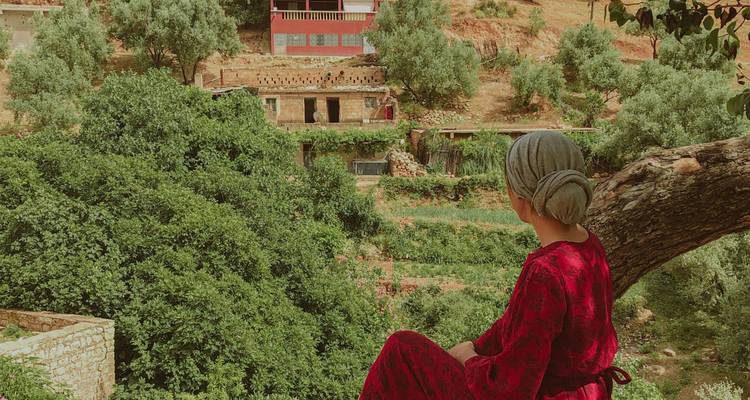 Personne assise sur un arbre surplombant un village et un paysage.