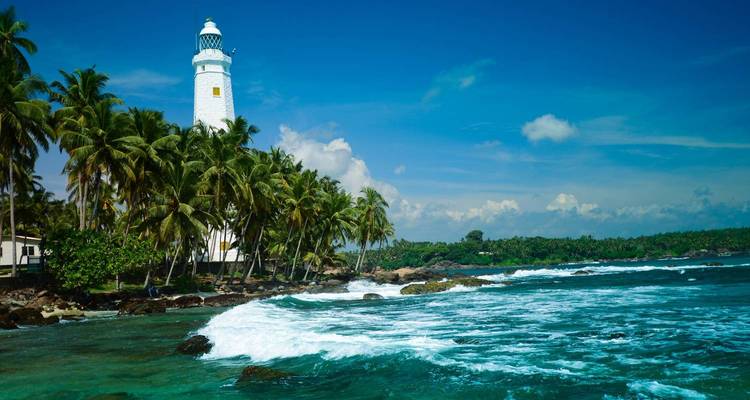 Phare entouré de palmiers au bord d'un océan bleu clair.