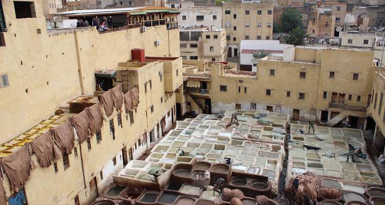Tannerie traditionnelle à Fès avec des ouvriers qui traitent le cuir.