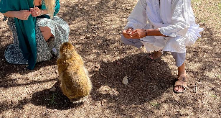 Deux personnes interagissant avec un macaque de Barbarie dans une zone ombragée.