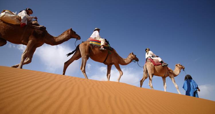 People riding camels on sand dunes under a blue sky.