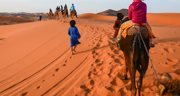 Camel caravan in the desert guided by a local.