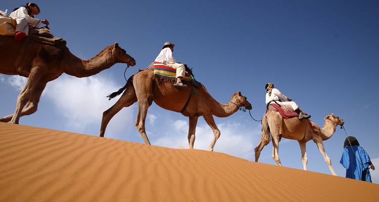 Group riding camels over sand dunes under a clear blue sky.
