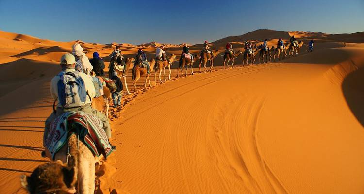 Group of tourists on camels in a vast desert landscape.