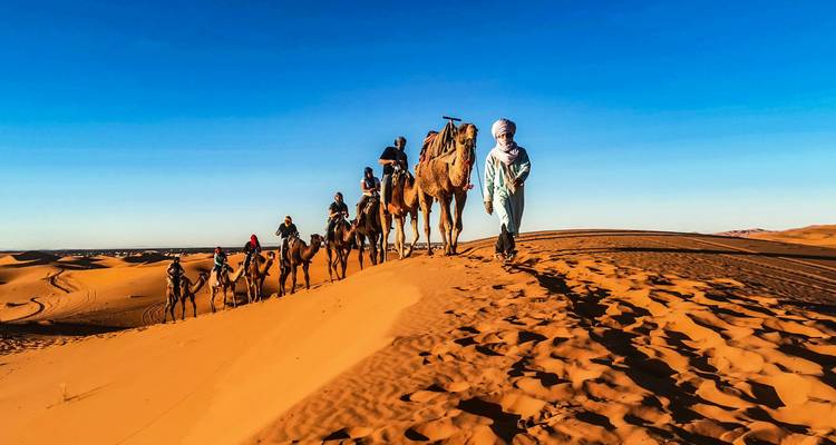 Une longue caravane de chameaux guidée par un accompagnateur marchant le long de la crête de dunes dorées illuminées par le soleil.