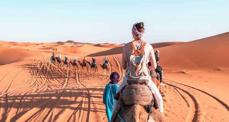 Vue arrière d'un chameau alors qu'une longue caravane traverse des traces dans les immenses dunes orange.