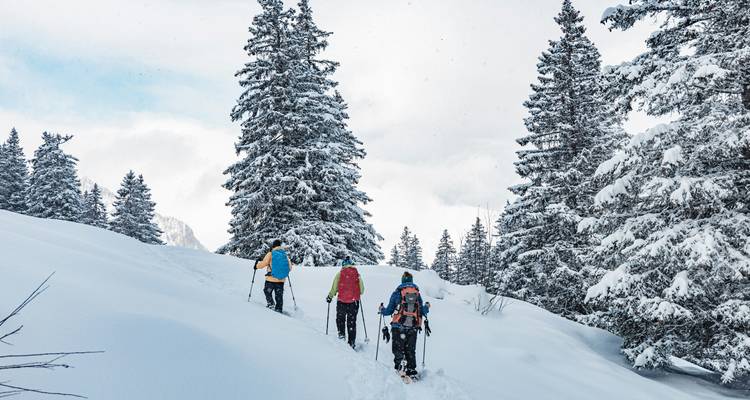 Group of people snow trekking in a forest.